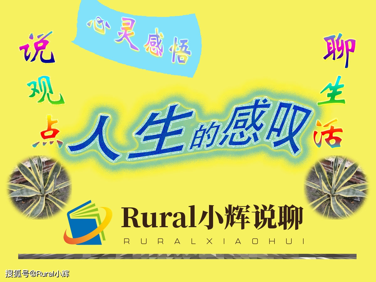 心灵感悟——人生的感叹