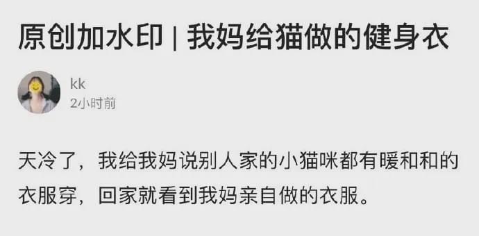 给猫咪穿了健身衣,结果这身材有点骚啊