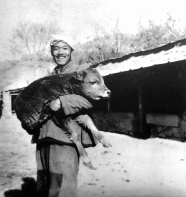 史铁生逝世10周年:在轮椅上度过了38年的他,为什么被称作“时代的巨人”?
