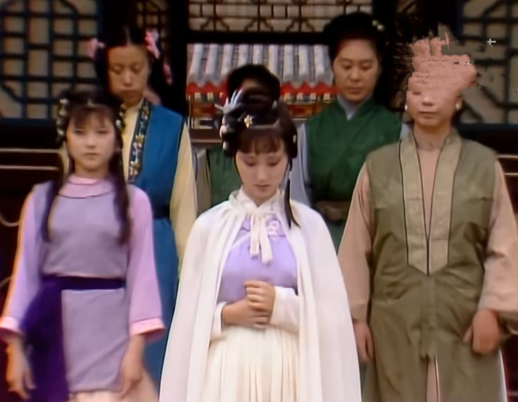 红楼梦第二回4字证明:林如海儿子非贾敏所生,巨额遗产归他人