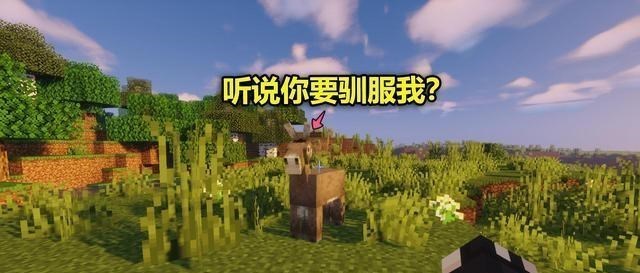 我的世界:有些生物不是那么容易驯服,就算拿刀架脖子上也没用