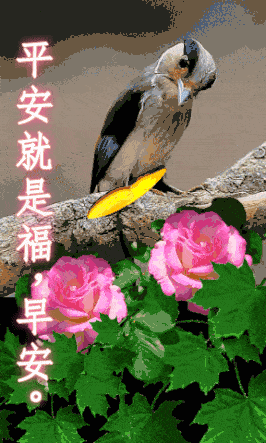 2020最新漂亮早上好问候动态图 五月最美微信早上好祝福语图带字