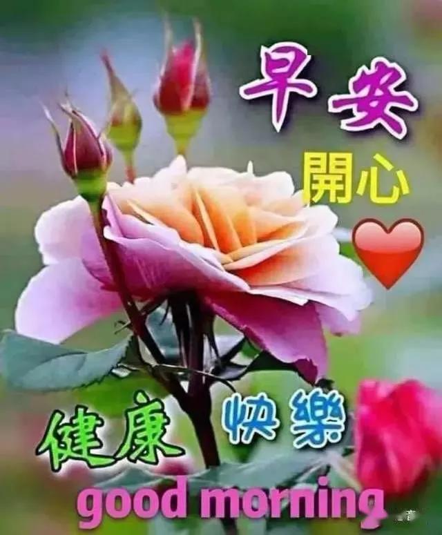 2020最新漂亮早上好问候动态图 五月最美微信早上好祝福语图带字