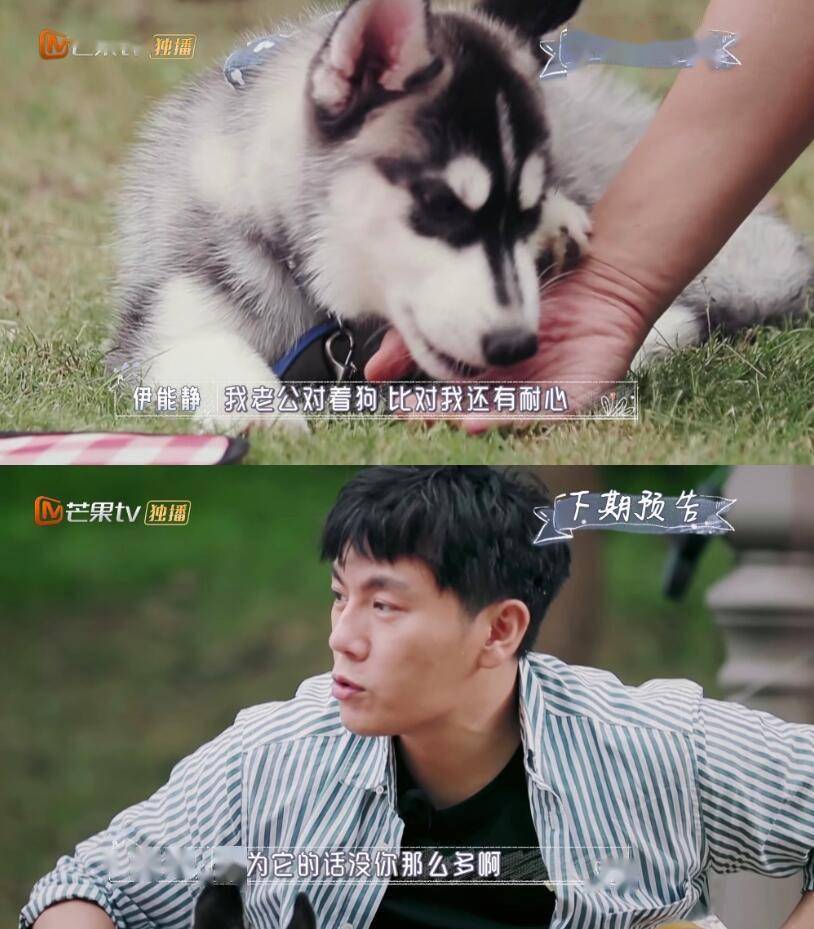 别骂伊能静了,骂也骂不过秦昊
