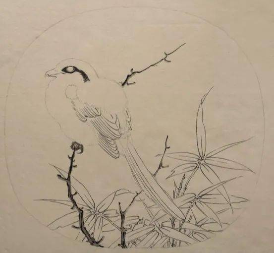 鸟语花香 | 清华美院《历代花鸟画研究与创作》课程在线教学探索
