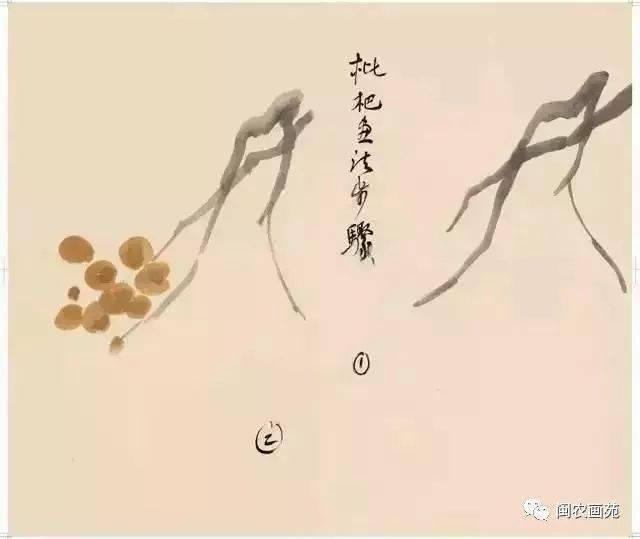 徐悲鸿“手把手”教画花鸟,干货。