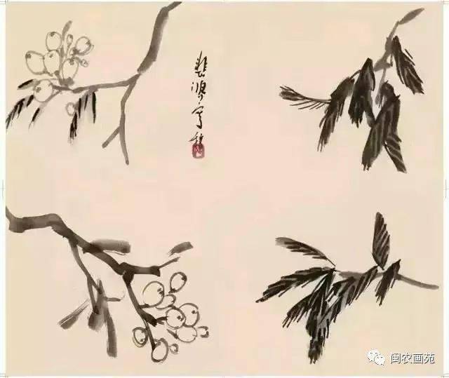 徐悲鸿“手把手”教画花鸟,干货。