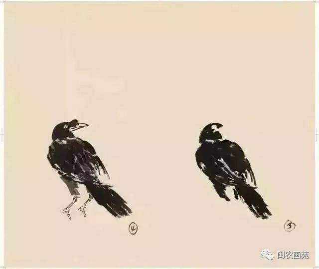 徐悲鸿“手把手”教画花鸟,干货。