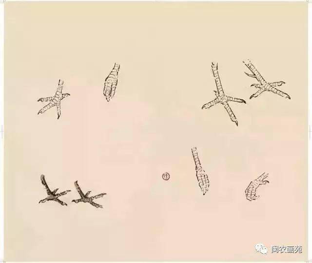 徐悲鸿“手把手”教画花鸟,干货。