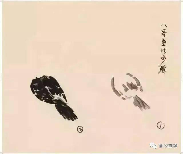 徐悲鸿“手把手”教画花鸟,干货。