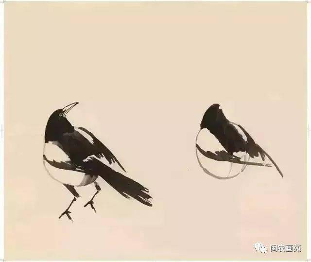 徐悲鸿“手把手”教画花鸟,干货。