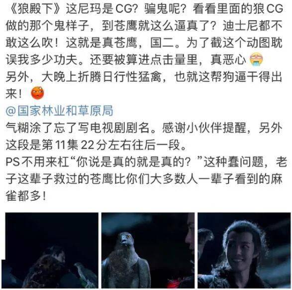 一集一个热搜,这剧的爆相到底在哪?