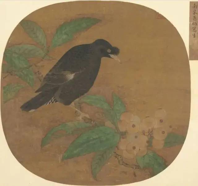 “小满枇杷半坡黄”,画里的枇杷味更诱人哦