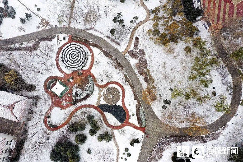 一场大雪,让烟台美翻全国