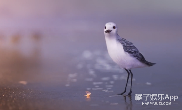 海浪的泡沫,沙粒的质感,小鸟的羽毛,这个动画简直细致得可怕!