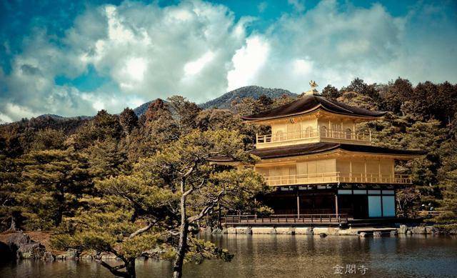 一菩萨一祖师共论佛法教育:修行勤劳更要动脑,佛教智慧不离多闻