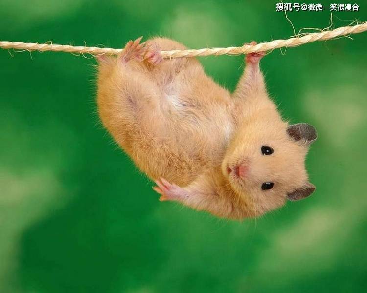 请不要开这样的玩笑,影响正常工作