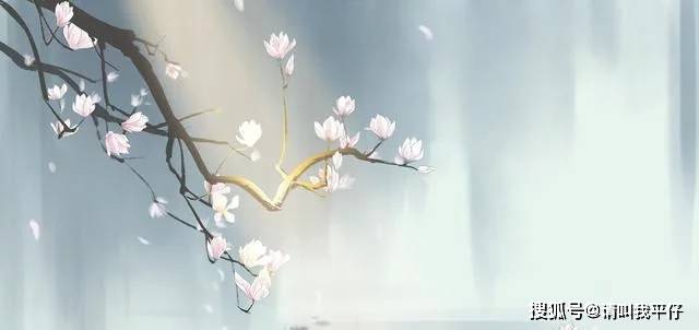 人生的最高境界:安静而从容