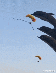 搞笑GIF:大姐,怨不得别人,这事故你得负全责啊
