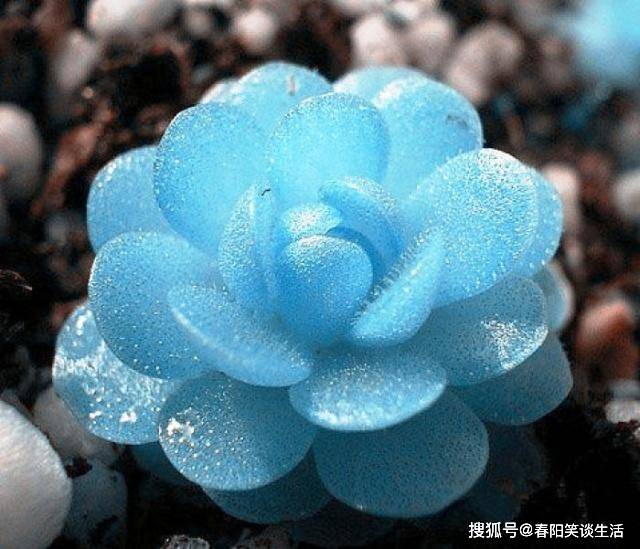 精辟心灵的个性签名,句句走心,让人深思