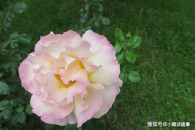 让人心潮澎湃的励志句子,富含哲理,精湛走心