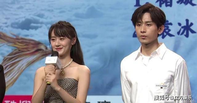 杨紫张一山前任合作新剧?成毅公司成嘉行翻版,演员随意排列组合