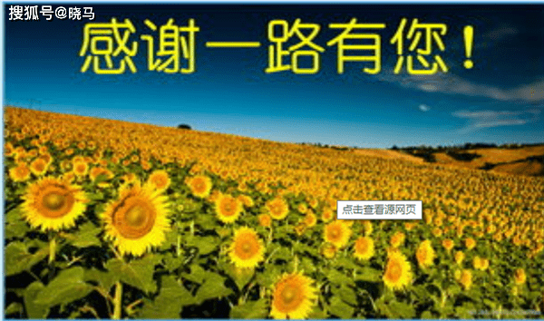 感谢一路有你