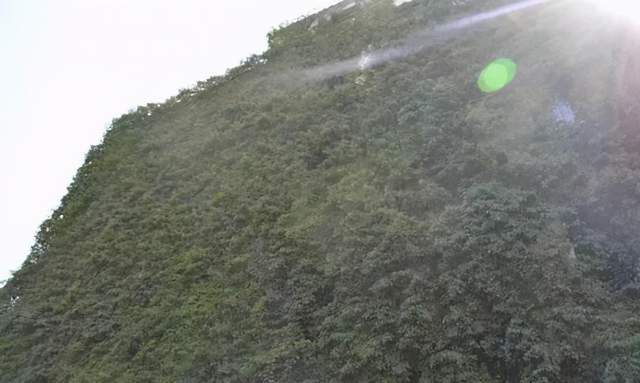 致敬我的中师岁月:一杯敬明天,一杯敬过往,在最好的时光遇见你