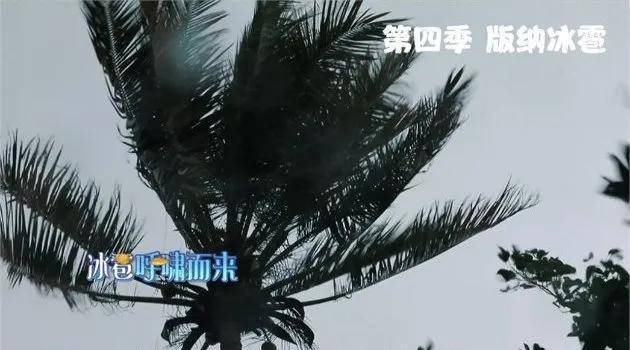 漫向往|向往的生活和你,只差一场版纳的雨