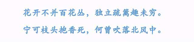 冲天香阵透长安,满城尽带黄金甲,你读过最经典的菊花诗是哪首?