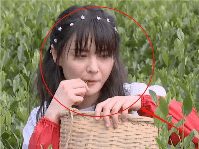 郑爽最新照片曝光像变了一个人,网友说她撞脸张雨绮宋茜张嘉倪