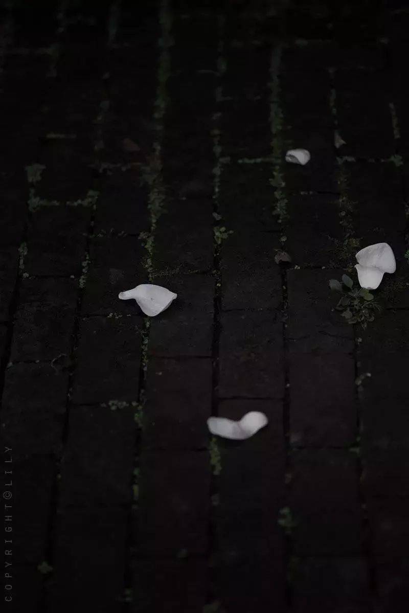 王维 | 人生,其实是一个不断失去的过程