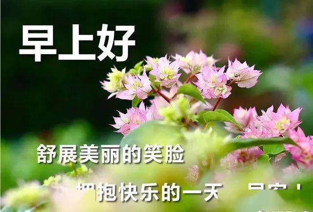 微信最新款早安祝福问候图片,早上好祝福表情问候图片带字