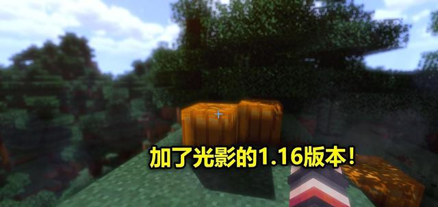 我的世界:玩家弃坑一年,重新进入游戏后,发现一切都变了!