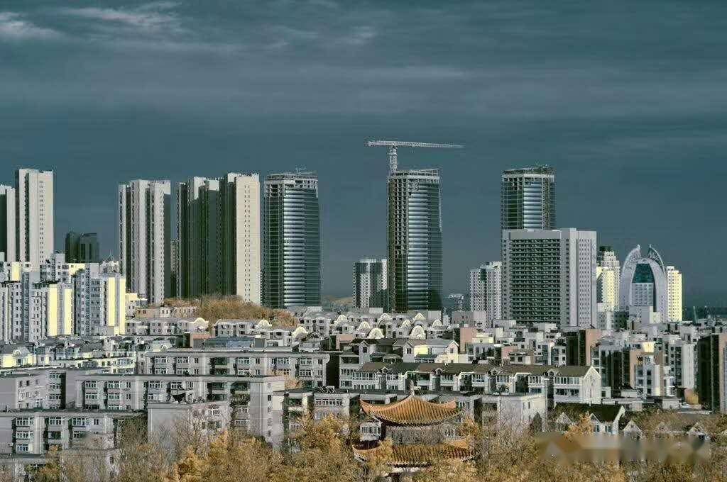 摄影书法绘画赏析