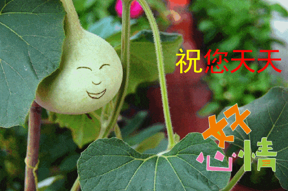 周末问候大家早上好祝福语录图片 特漂亮早上好图片表情动态带字