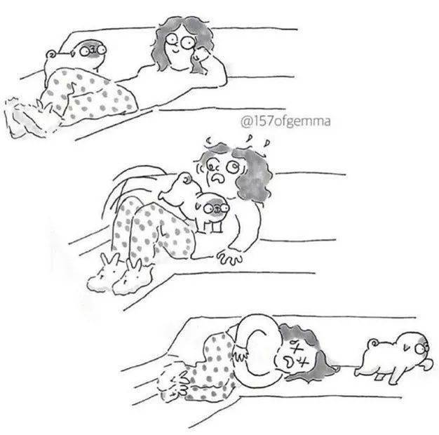 你养狗也这样,准的我无话可说