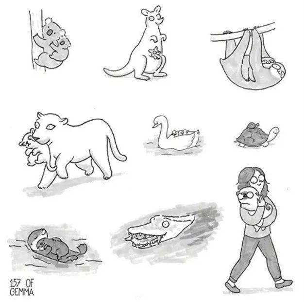 你养狗也这样,准的我无话可说