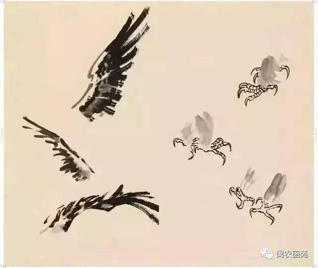 徐悲鸿“手把手”教画花鸟,干货。