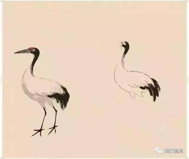 徐悲鸿“手把手”教画花鸟,干货。