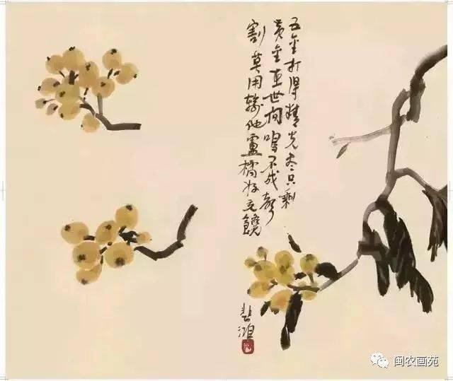 徐悲鸿“手把手”教画花鸟,干货。