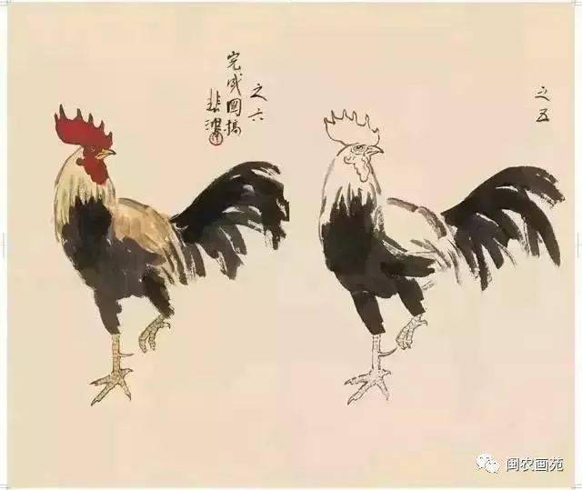 徐悲鸿“手把手”教画花鸟,干货。