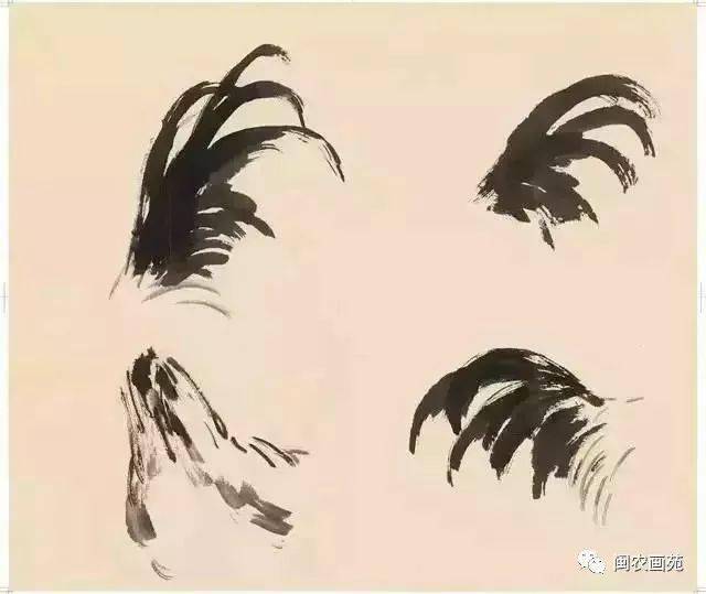 徐悲鸿“手把手”教画花鸟,干货。