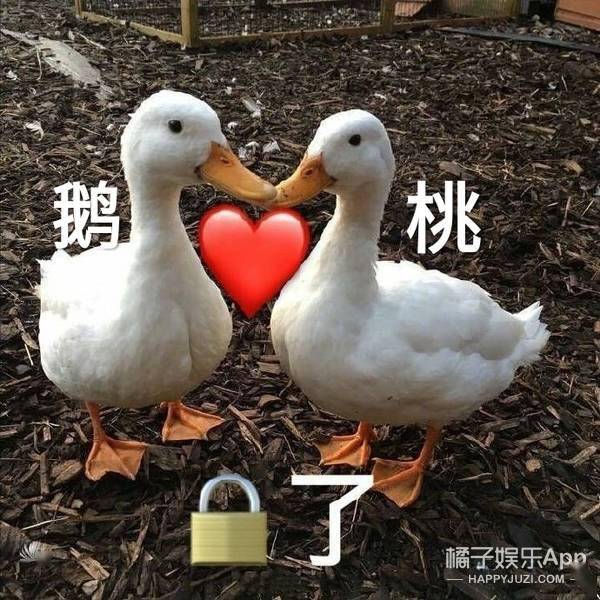正面掰头皓衣行和撒野,提前押宝明年双女主101爆款CP!还没买房的抓紧了