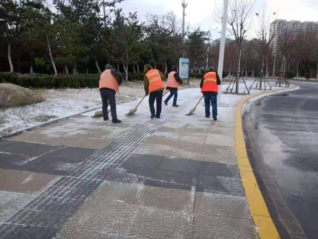 一场大雪,让烟台美翻全国
