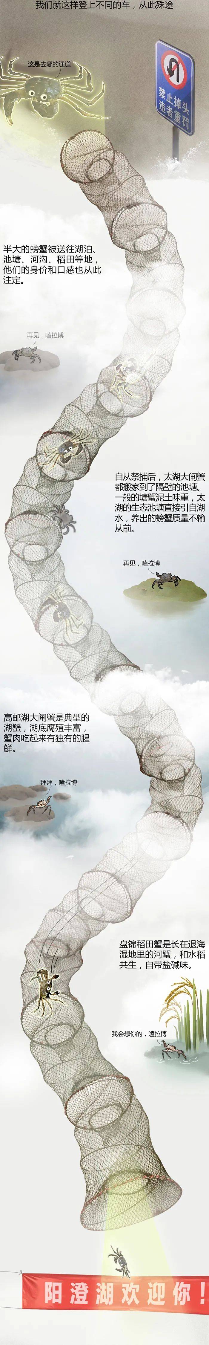 蟹塘梦幻曲