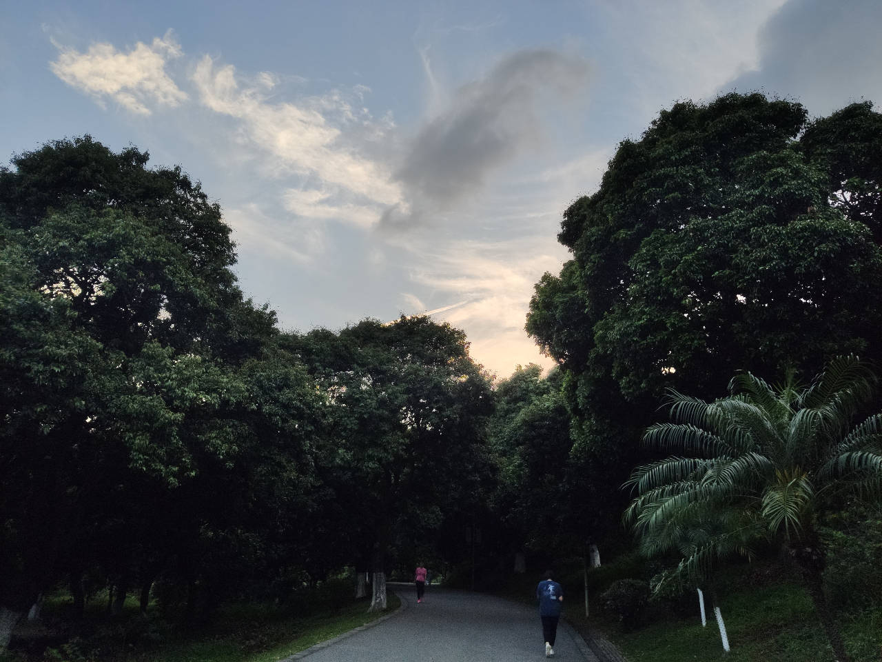 梦想同行之(十二)讲白话和看书,有关竹人竹马反王的神奇故事