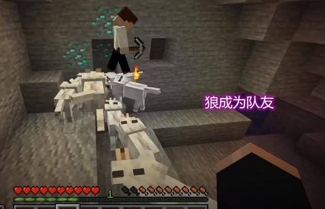 我的世界:传送门成为玩家的死亡点,而驯服的狼能帮助玩家战斗