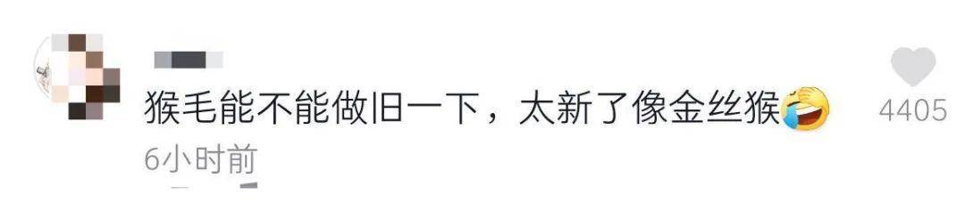 土豪网红筹钱重拍《西游记》,孙悟空和六小龄童神似,原版重现