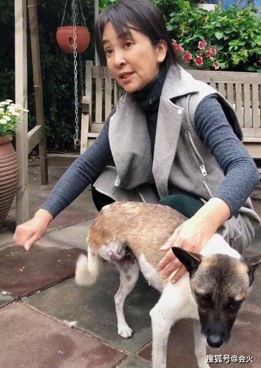57岁李勤勤窝在车里吃泡面,满头白发被指太显老,曾三度远嫁异国